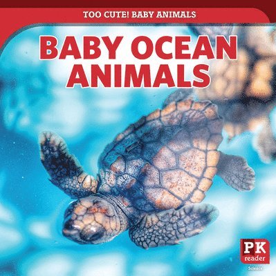 Baby Ocean Animals 1