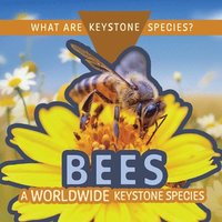 bokomslag Bees: A Worldwide Keystone Species