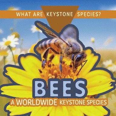 bokomslag Bees: A Worldwide Keystone Species
