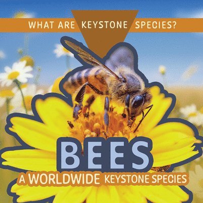 Bees: A Worldwide Keystone Species 1