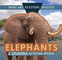 bokomslag Elephants: A Savanna Keystone Species