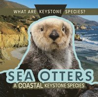 bokomslag Sea Otters: A Coastal Keystone Species