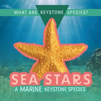 Kathleen A. Klatte - Sea Stars: A Marine Keystone Species, Häftad