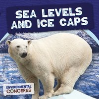bokomslag Sea Levels and Ice Caps