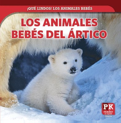 Rachael Morlock - Los Animales Bebés del Ártico (Baby Arctic Animals), Häftad