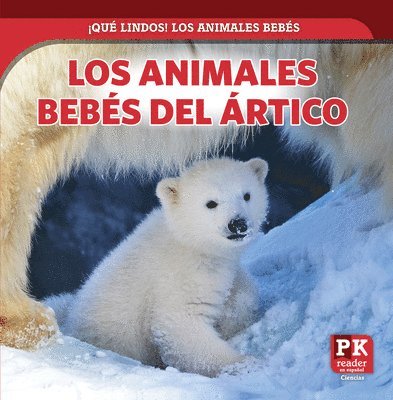 Los Animales Bebés del Ártico (Baby Arctic Animals) 1