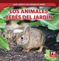 bokomslag Los Animales Bebés del Jardín (Baby Backyard Animals)
