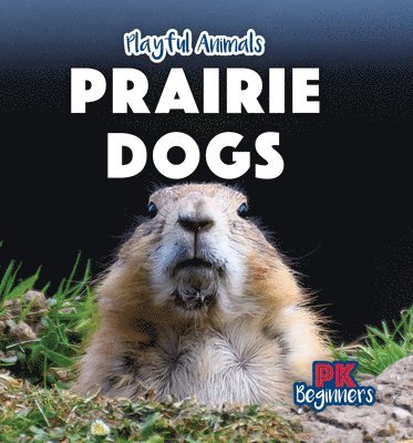 Ursula Pang - Prairie Dogs, Inbunden