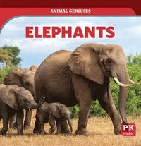 bokomslag Elephants