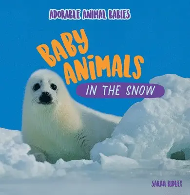 Sarah Ridley - Baby Animals in the Snow, Häftad. Tillgänglighet: Lägg i varukorg