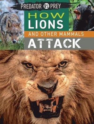 Tim Harris - How Lions and Other Mammals Attack, Häftad. Tillgänglighet: Lägg i varukorg