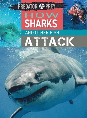 Tim Harris - How Sharks and Other Fish Attack, Häftad. Tillgänglighet: Lägg i varukorg