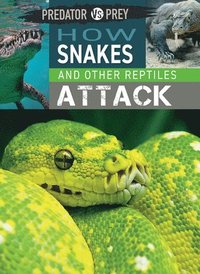 bokomslag How Snakes and Other Reptiles Attack