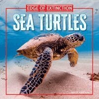 Tricia Hoffman - Sea Turtles, Inbunden. Tillgänglighet: Kommande