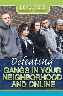 Philip Wolny - Defeating Gangs in Your Neighborhood and Online, Inbunden