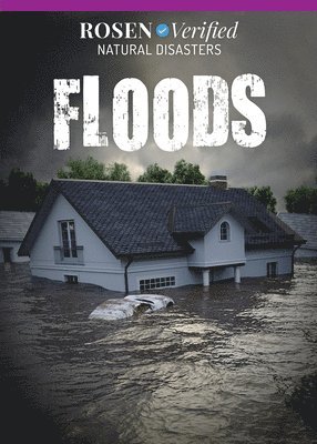 Benjamin Proudfit - Floods, Inbunden