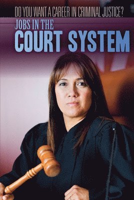 Kathleen A. Klatte - Jobs in the Court System, Häftad