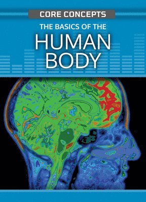 Anne O'Daly - The Basics of the Human Body, Häftad