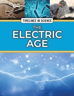 Craig Boutland - The Electric Age, Häftad