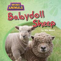 bokomslag Babydoll Sheep