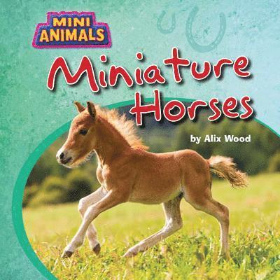 Alix Wood - Miniature Horses, Inbunden