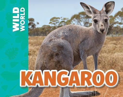 Meredith Costain - Kangaroo, Häftad. Tillgänglighet: Tillfälligt slut