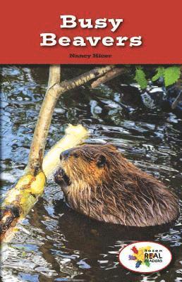 Nancy Hicer - Busy Beavers, Häftad