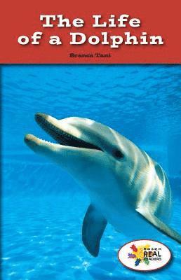 Branca Tani - The Life of a Dolphin, Häftad