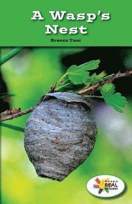 Branca Tani - A Wasp's Nest, Häftad