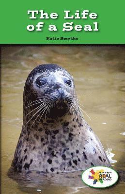 Katie Smythe - The Life of a Seal, Häftad