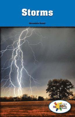 Bernadette Brexel - Storms, Häftad