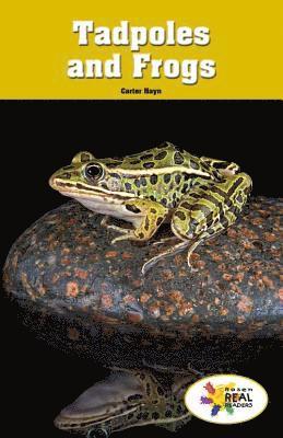 Carter Hayn - Tadpoles and Frogs, Häftad