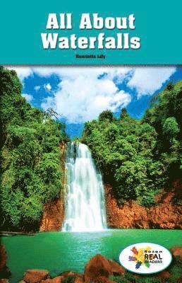 Henrietta M. Lily - All about Waterfalls, Häftad