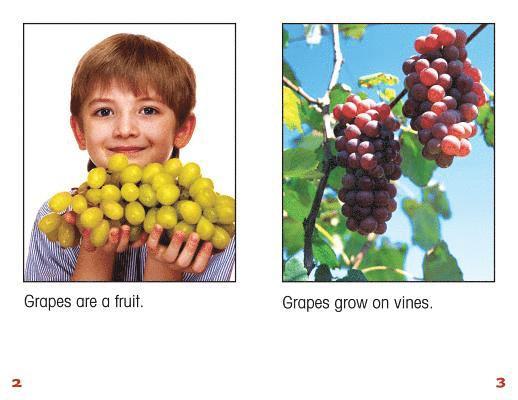 Denzel T. Carter - All about Grapes, Häftad. Tillgänglighet: Lägg i varukorg