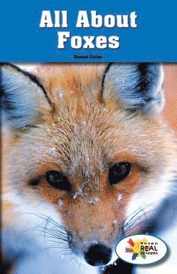 Denzel T. Carter - All about Foxes, Häftad. Tillgänglighet: Lägg i varukorg