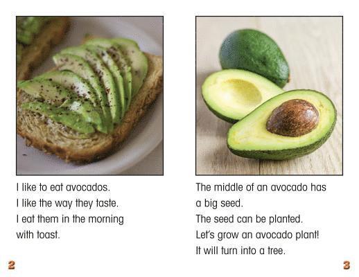 Carter Hayn - My Avocado Plant, Häftad