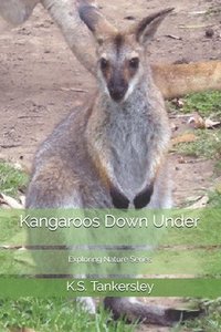 bokomslag Kangaroos Down Under