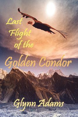 bokomslag Last Flight of the Golden Condor