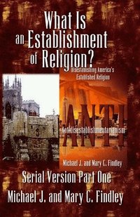 bokomslag What Is an Establishment of Religion?