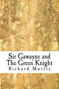 bokomslag Sir Gawayne and The Green Knight