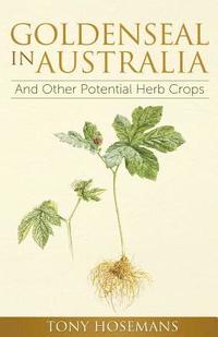 bokomslag Goldenseal in Australia: And Other Potential Herb Crops