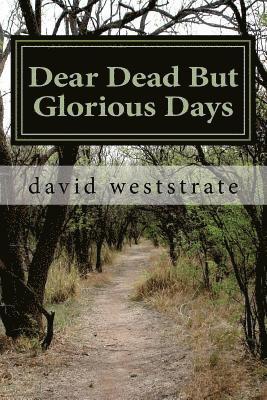 bokomslag Dear Dead But Glorious Days: Stories Your Daddy Never Told You