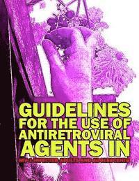 bokomslag Guidelines for the Use of Antiretroviral Agents in HIV-1 Infected Adults and Adolescents