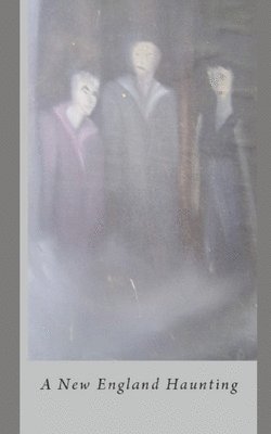 Elizabeth M. Capalbo - Cast Down: A New England Haunting, Häftad