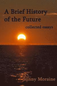 bokomslag A Brief History of the Future: collected essays