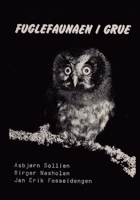 Birger Nesholen, Jan Erik Fosseidengen, Asbjørn Sollien - Fuglefaunaen i Grue, Häftad