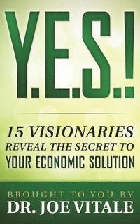 Joe Vitale - Y.E.S.: 15 Visionaries Reveal the Secret to Your Economic Solution, Häftad