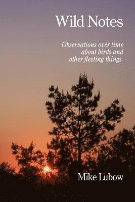 Wild Notes: Observations over time about birds and other fleeting things 1