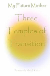 bokomslag Three Temples of Transition