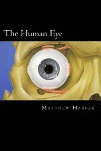 bokomslag The Human Eye: A Fascinating Book Containing Human Eye Facts, Trivia, Images & Memory Recall Quiz: Suitable for Adults & Children